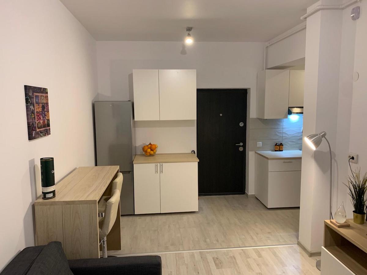 Ray Luxury Apartment Close To Presidential Palace Bucareste Exterior foto